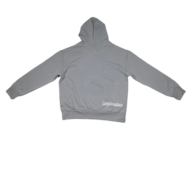 EAO BASIC GREY HOODIE